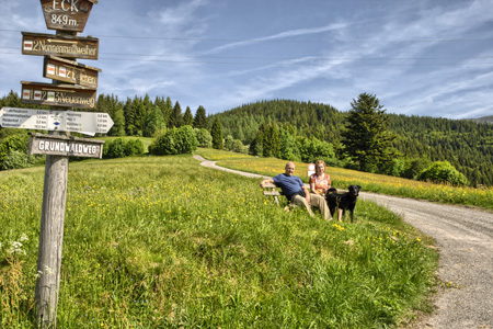 Wandern im Schwarzwald 